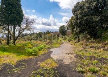 Villa con terreno (3).jpg - Building land Via Nocille 55, Mascali - photo 7