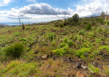 Villa con terreno (59).jpg - Building land Via Nocille 55, Mascali - photo 16