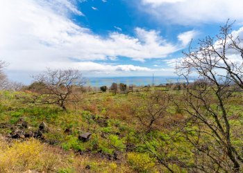 Villa con terreno (62).jpg - Building land Via Nocille 55, Mascali - photo 19