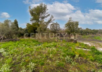 Villa con terreno (14).jpg - Building land Via Nocille 55, Mascali - photo 21