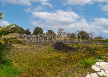 Villa con terreno (15).jpg - Building land Via Nocille 55, Mascali - photo 22