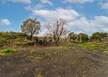 Villa con terreno (17).jpg - Building land Via Nocille 55, Mascali - photo 23