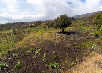 Villa con terreno (54).jpg - Building land Via Nocille 55, Mascali - photo 29