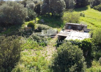 DJI_0692.JPG - Rustico Alghero - foto 11