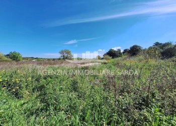 WhatsApp Image 2026-03-18 at 12.47.56 (1).jpeg - Rustico Alghero - foto 15