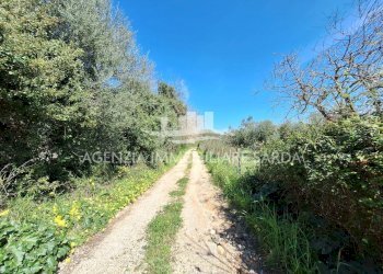 WhatsApp Image 2026-03-18 at 12.47.56.jpeg - Rustico Alghero - foto 16