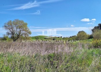 WhatsApp Image 2026-03-18 at 12.47.58.jpeg - Rustico Alghero - foto 19