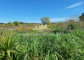 WhatsApp Image 2026-03-18 at 12.48.01 (1).jpeg - Rustico Alghero - foto 20