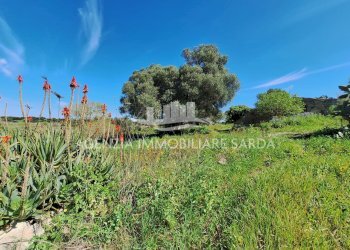 WhatsApp Image 2026-03-18 at 12.48.01 (2).jpeg - Rustico Alghero - foto 21