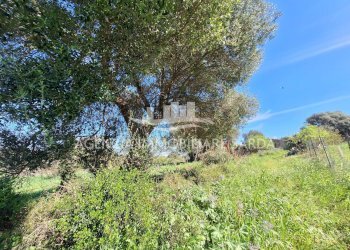 WhatsApp Image 2026-03-18 at 12.48.01 (3).jpeg - Rustico Alghero - foto 22