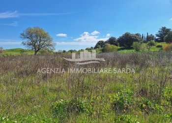 WhatsApp Image 2026-03-18 at 12.48.01.jpeg - Rustico Alghero - foto 23