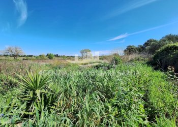 WhatsApp Image 2026-03-18 at 12.48.03 (1).jpeg - Rustico Alghero - foto 24