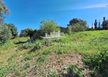 WhatsApp Image 2026-03-18 at 12.48.03 (3).jpeg - Rustico Alghero - foto 26