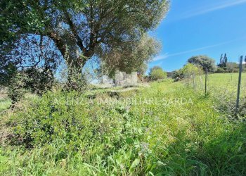 WhatsApp Image 2026-03-18 at 12.48.03.jpeg - Rustico Alghero - foto 27