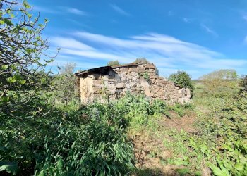 WhatsApp Image 2026-03-18 at 12.48.04 (1).jpeg - Rustico Alghero - foto 28