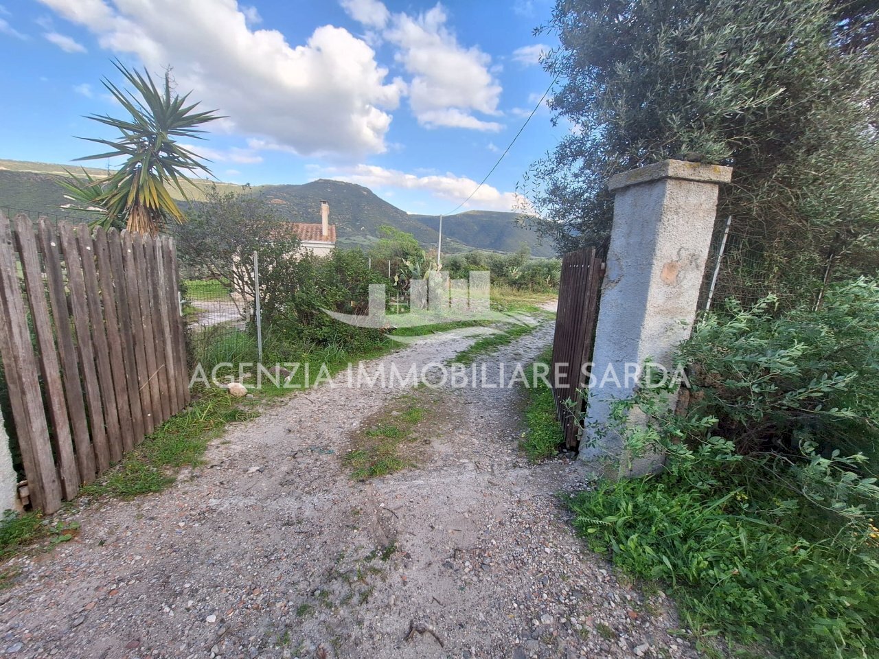 WhatsApp Image 2026-03-24 at 17.44.10.jpeg - Villa Aglientu - photo 3