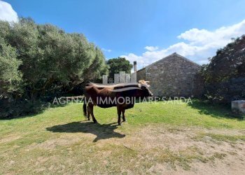 WhatsApp Image 2026-03-24 at 17.44.12 (1).jpeg - Villa Aglientu - foto 2