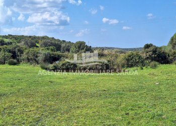 WhatsApp Image 2026-03-24 at 17.44.13 (1).jpeg - Villa Aglientu - foto 12