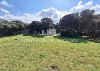 WhatsApp Image 2026-03-24 at 17.44.10 (2).jpeg - Villa Aglientu - foto 15