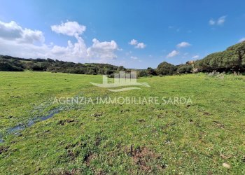 WhatsApp Image 2026-03-24 at 17.44.13.jpeg - Villa Aglientu - foto 30