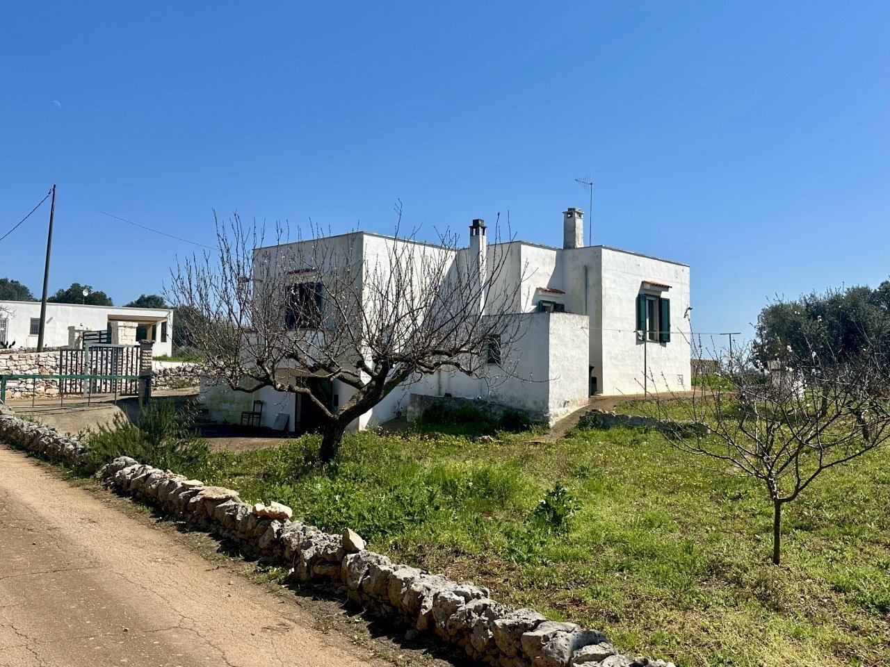 IMG_5808.jpeg - Villa C.da San Benedetto 194, Ostuni - foto 2