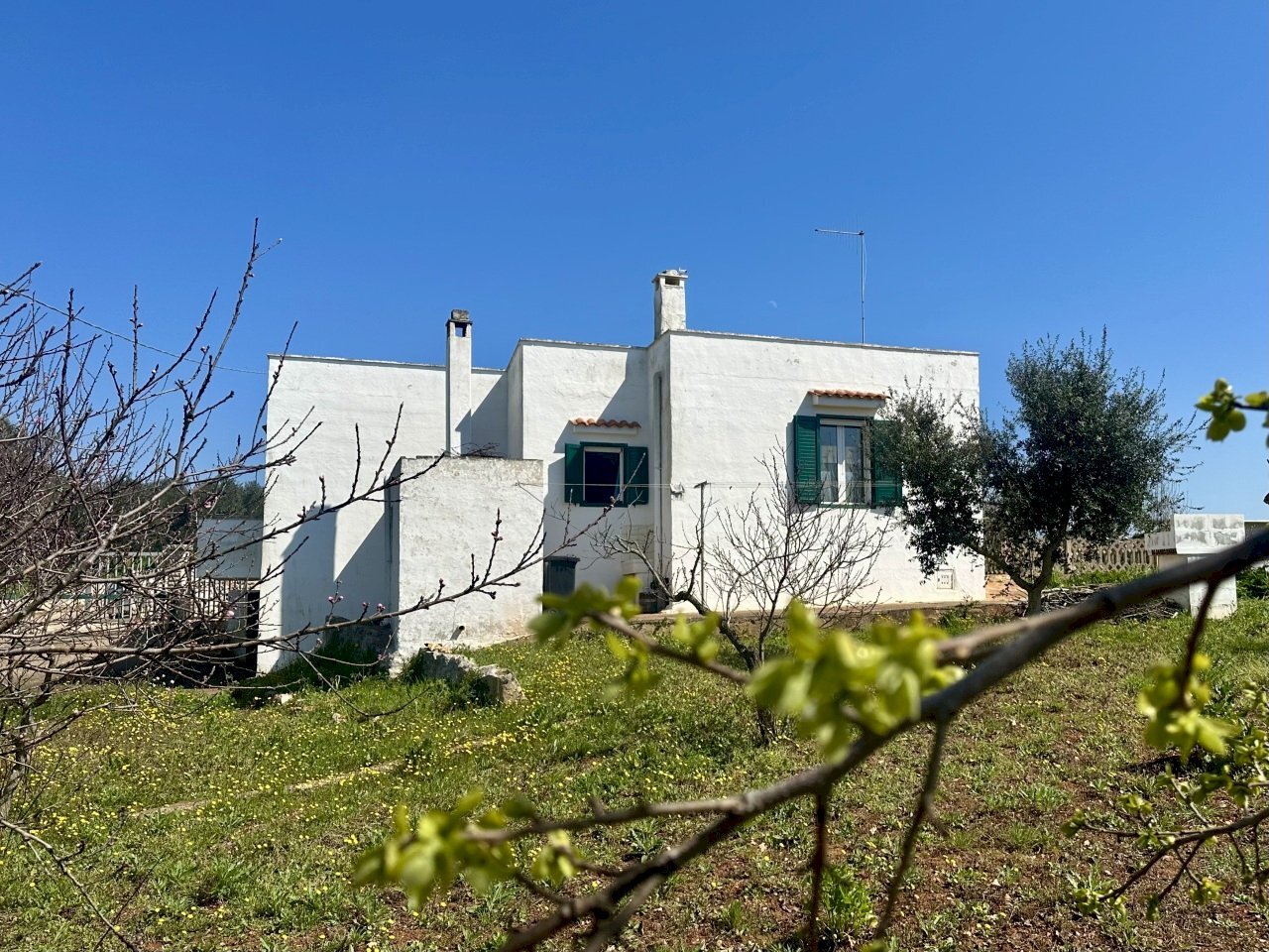 IMG_5802.jpeg - Villa C.da San Benedetto 194, Ostuni - foto 3