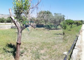 Magazzino Traversa Vallone Carancino, Siracusa - foto 12