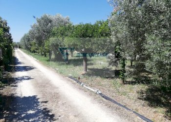 Magazzino Traversa Vallone Carancino, Siracusa - foto 13
