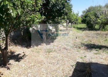 Magazzino Traversa Vallone Carancino, Siracusa - foto 15