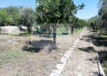 Magazzino Traversa Vallone Carancino, Siracusa - foto 16
