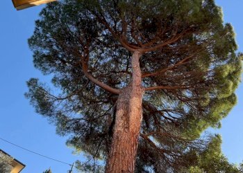 Attico Viale la Torre, Santa Margherita Ligure - foto 2