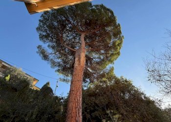 Attico Viale la Torre, Santa Margherita Ligure - foto 4