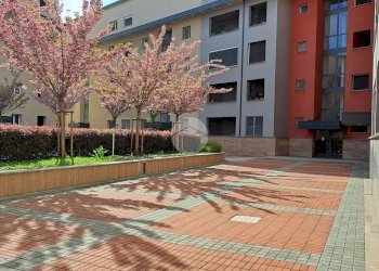 Quadrilocale Via Giuseppe Taccioli, Milano (zona Affori) - foto 10