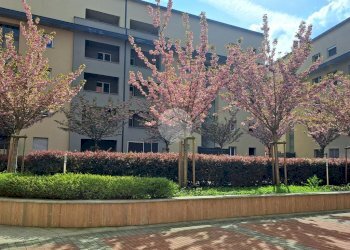 Quadrilocale Via Giuseppe Taccioli, Milano (zona Affori) - foto 11