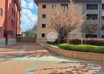 Quadrilocale Via Giuseppe Taccioli, Milano (zona Affori) - foto 12