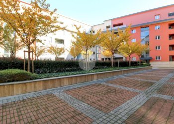 Quadrilocale Via Giuseppe Taccioli, Milano (zona Affori) - foto 13