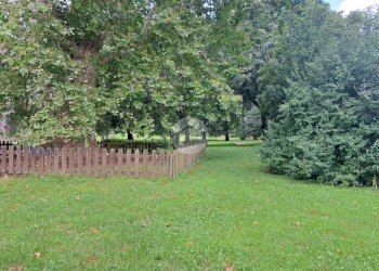 Quadrilocale Via Giuseppe Taccioli, Milano (zona Affori) - foto 18