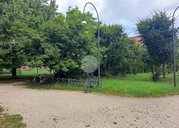 Quadrilocale Via Giuseppe Taccioli, Milano (zona Affori) - foto 19