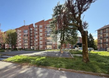 Trilocale Via delle Pervinche, Torino - foto 29