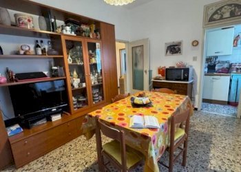 Trilocale Zola Predosa - foto 1