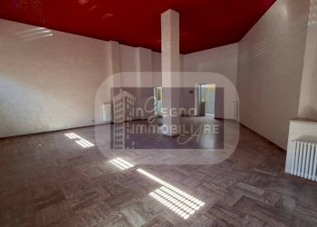 Negozio Rotonda Piero Maroncelli, Torino (zona Nizza Millefonti) - foto 2