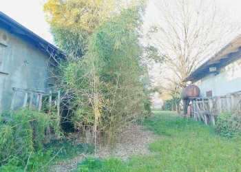 Terratetto - Terracielo Mirandola - foto 14