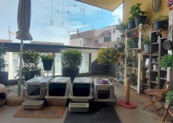 Three-room apartment Via Ghiaradino, 1B, Granarolo dell'Emilia - photo 3