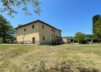 Foto 1 - Azienda agricola Montespertoli - foto 1