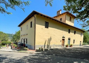 Foto 2 - Azienda agricola Montespertoli - foto 2
