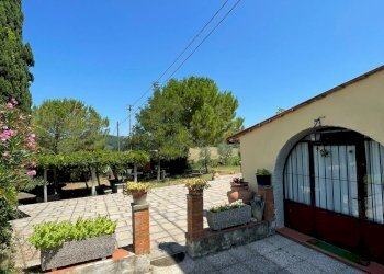 Foto 3 - Azienda agricola Montespertoli - foto 3