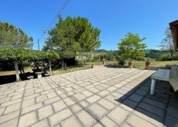 Foto 4 - Azienda agricola Montespertoli - foto 4