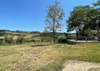 Foto 7 - Azienda agricola Montespertoli - foto 7