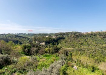 Vista delle montagne - Three-room apartment Morlupo - photo 20