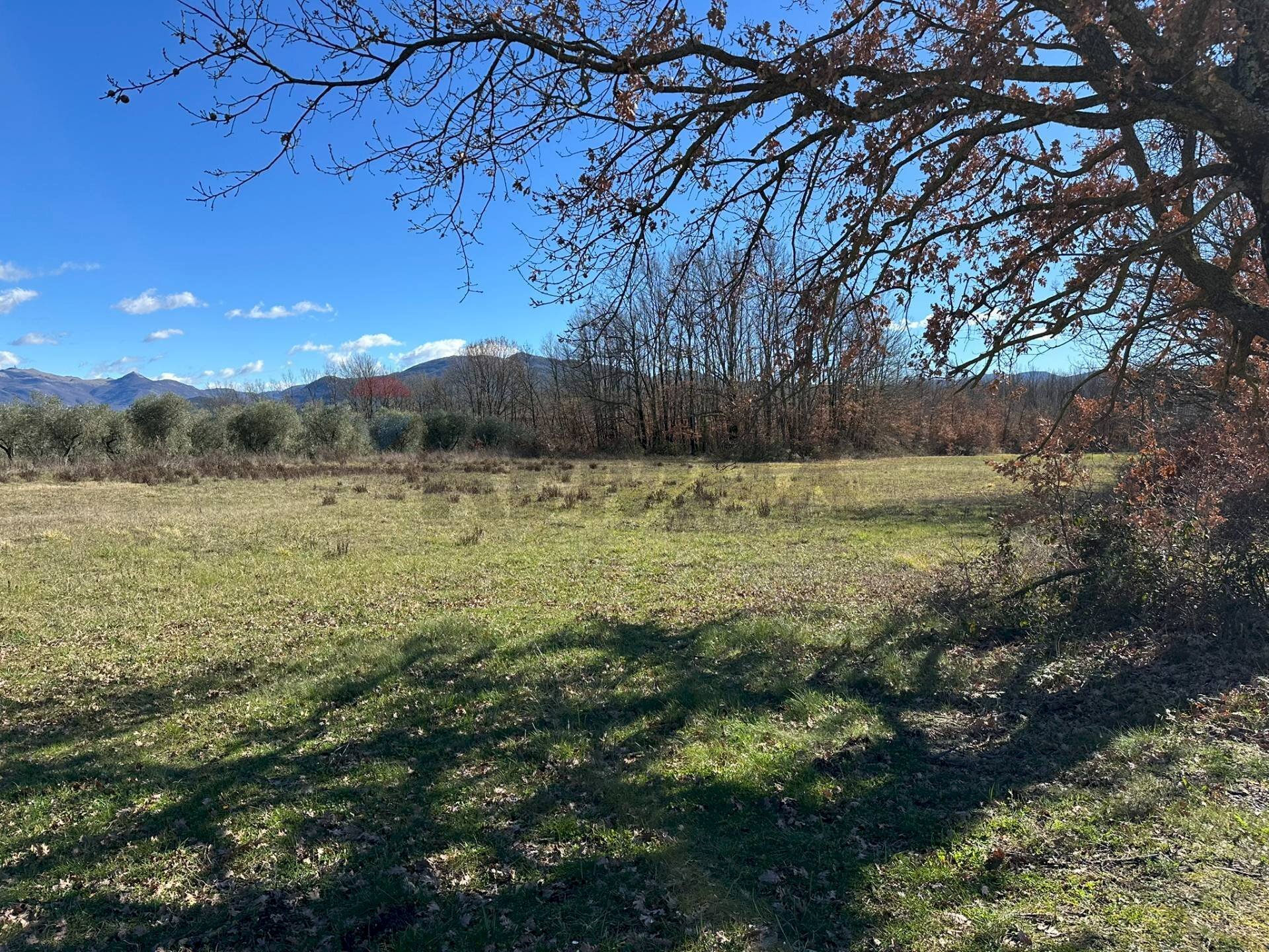 Vista delle montagne - Terreno agricolo Strada interpoderale Valle Porcino, Colli a Volturno - foto 1